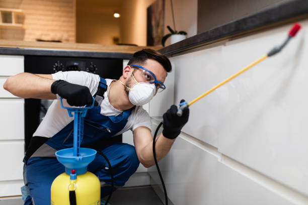 Best Affordable Pest Control Services  in Cisco, TX