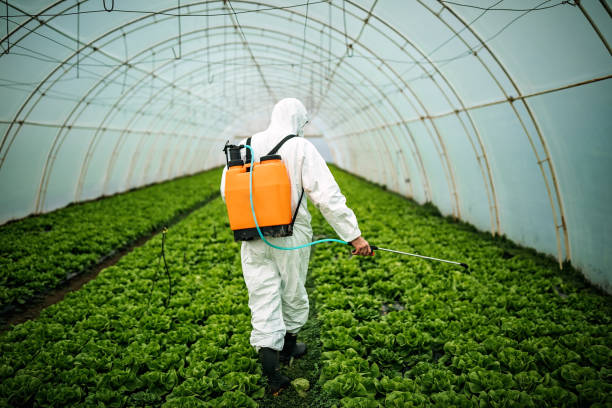 Professional Pest Control in Cisco, TX