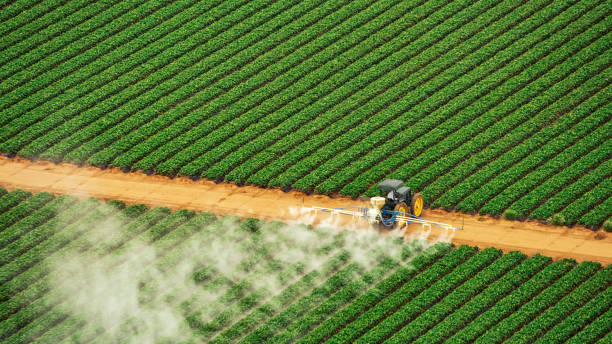 Best Mosquito Control Services  in Cisco, TX