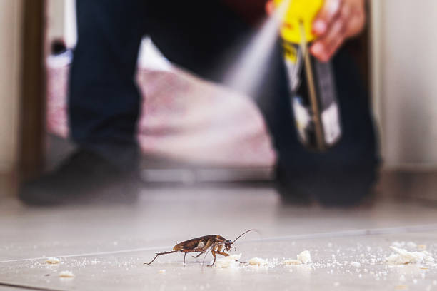 Best Best Pest Control Companies  in Cisco, TX