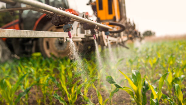 Pest Prevention Services in Cisco, TX